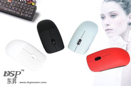 2.4G wireless mouse;shenzhen dongsheng electronic co.,ltd